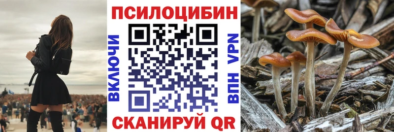 продажа наркотиков  Каменск-Шахтинский  Галлюциногенные грибы мухоморы 